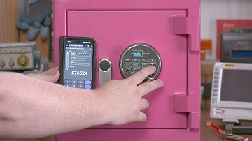 Securam ProLogic L02 - ResetHeist Demo