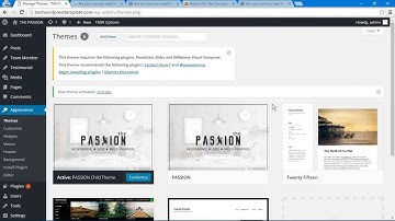 THE PASSION Wordpress Theme Installation Video
