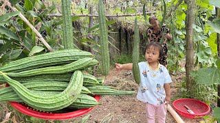 Cute chef Siv hour, grandma collect vegetagle for cooking | Sponge gourd recipes