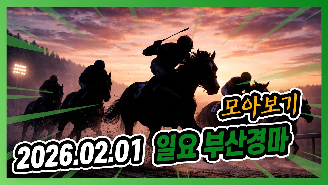 2026년 2월 1일 일요 부산경마 전체경주 모아보기