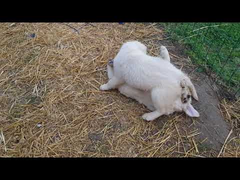 Igrajte spletne igralne avtomate v naši igralnici - Igranje na spletu neverjetno enostavno!