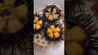 【ウニ丼】豊洲直送の気仙沼ムラサキウニ