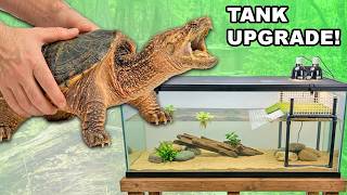 I Built a Mega Tank for my Snapping Turtle