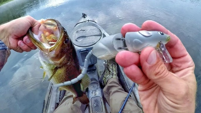 Spro BBZ-1 Rat Bass Fishing 