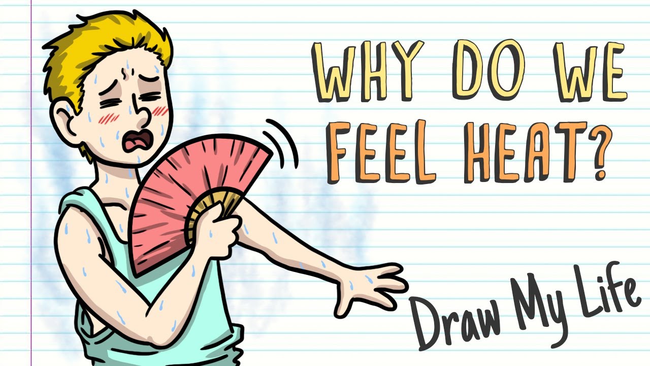 WHY DO WE FEEL HEAT? Draw My Life YouTube