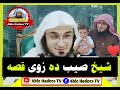 Pashto new bayan  pashto bayan  sheikh abu hassan swati  ahle hadees tv     