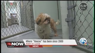 Where "Roscoe" has been since 2009