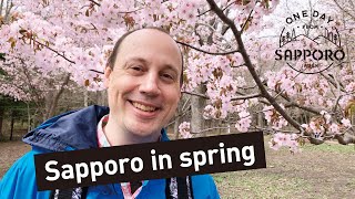 Sapporo in spring: Cherry blossoms and a shrine | One Day from Sapporo, Japan