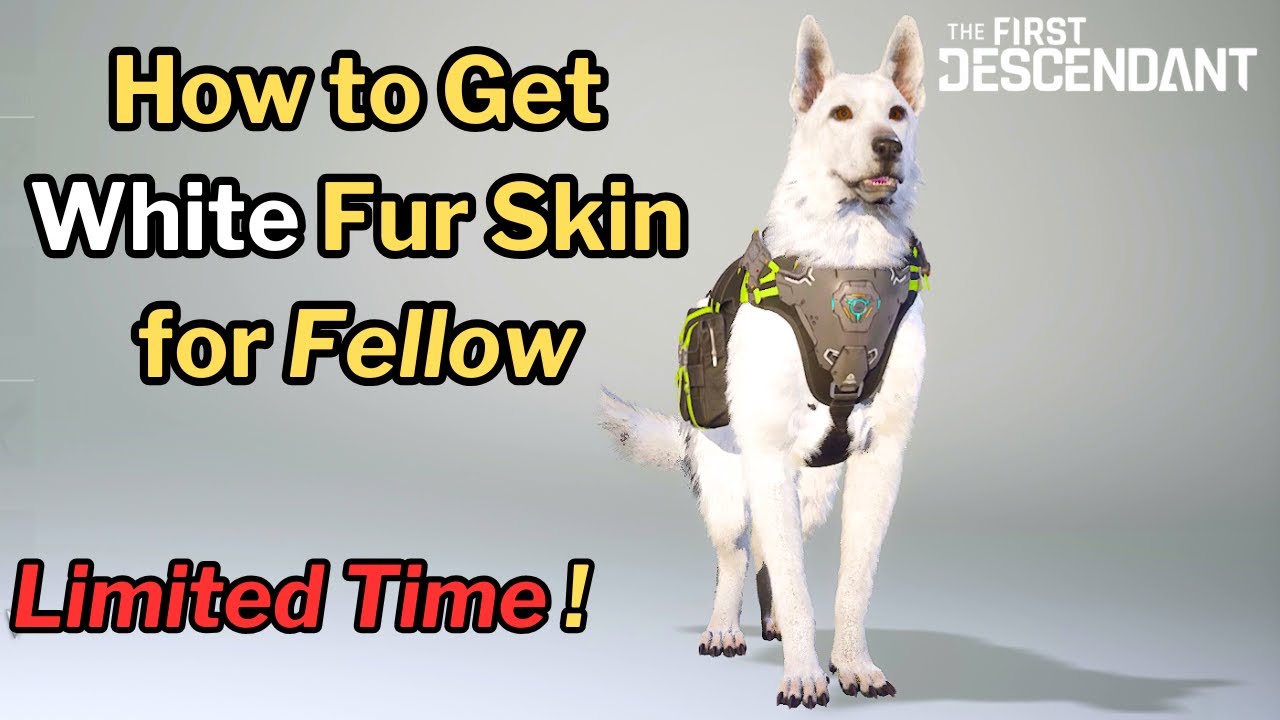 First Descendant - How to Level FELLOW, Limited Time White Fur 