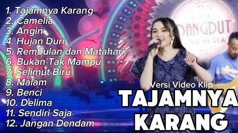 Tasya Rosmala Full Album Terbaru 2024 || Tajamnya Karang, Camelia, Hadirmu Bagai Mimpi