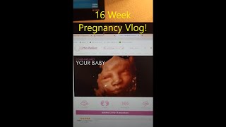 Vlog 6: February 24, 2022 4 Month Pregnancy Vlog