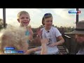 Новая Metallica: 10-летний мальчик собирает толпы зрителей на улицах Челябинска