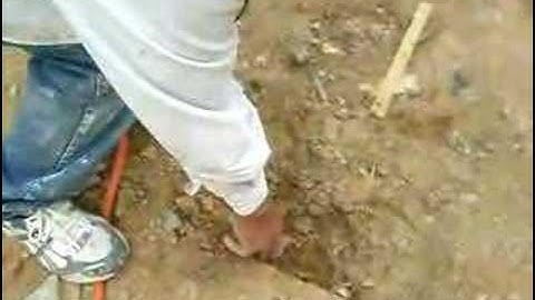 9.1.07 Ask Eino, "What happen to Spaceship Earth?" Part II