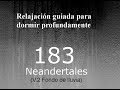 RELAJACION PARA DORMIR - 183 - Neandertales Fondo de lluvia