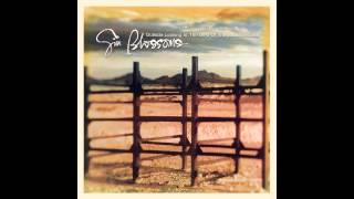 Gin Blossoms, "Mrs. Rita" chords