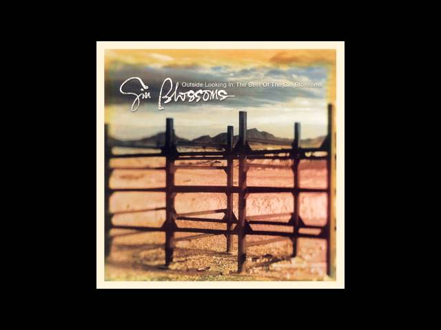 Gin Blossoms - Mrs. Rita