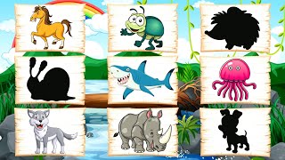 Развивающие МУЛЬТИКИ про животных для детей - Найди чья тень ! Развивающие игры для малышей