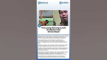 Pria yang Dorong Lurah di Medan Kini Minta Maaf