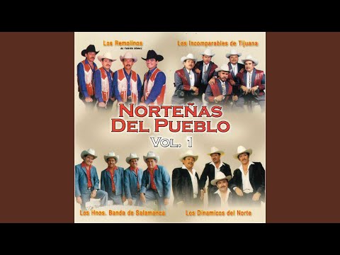 Los Dinamicos Del Norte - La Rubia y La Morena