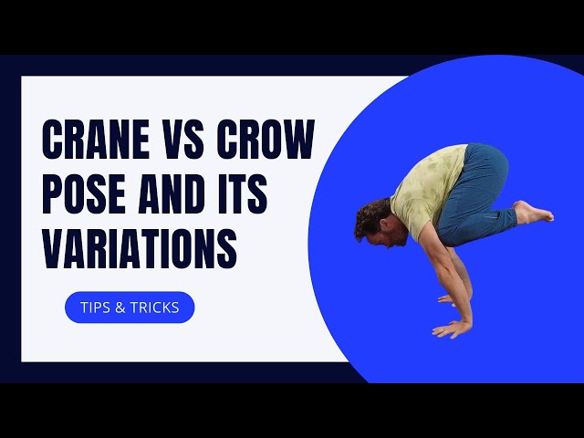 Bakasana – Crane / Crow Pose, How to do, Benefits, Ayurveda Details