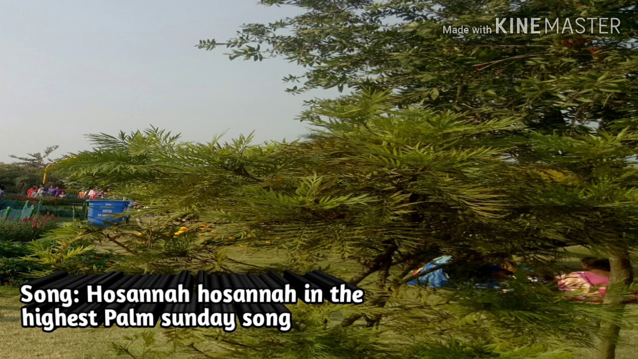 Hosanna Hosanna in the highest ! Palm Sunday song! English Worship ...