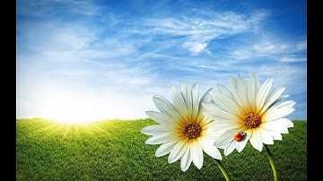 07 سورة الاعراف بصوت اكثر من رائع يريح القلب ، اجمل صوت souret Alaraf for ahmad alajami HD