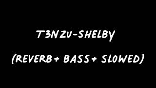 T3NZU - Shelby (reverb+bass+slowed) Resimi