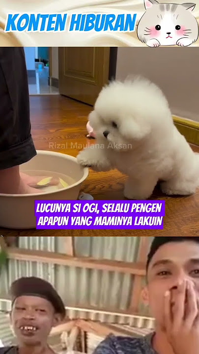 KAKI OGI PENGEN DI RENDEM JUGA MIH‼️  #lucu #funny #shortvideo