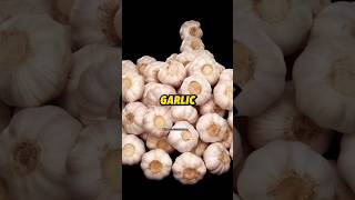 Garlic for Men and Women ?. Health Facts shorts