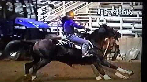Buggy Full Of Money 2001 EBFA futurity champion ri...