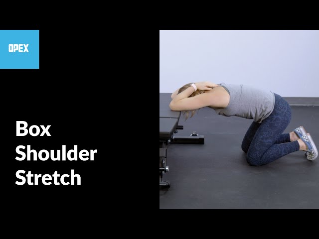 Box Shoulder Stretch - OPEX Exercise Library 