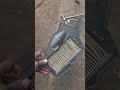 TVS Rider service.repair