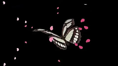 Butterfly Hologram Video in HD | 180-Degree Hologram Display (T6 Format)