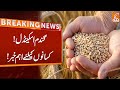 New Twist in Wheat Scandal | Breaking News | GNN