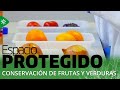 Espacio Protegido | Conservación de frutas y verduras con microorganismos