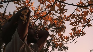 Patience Official Video