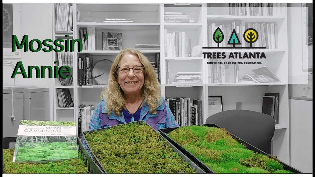 Mossin' Annie of Mountain Moss Enterprises talks about Moss