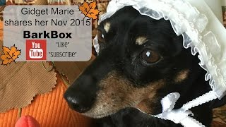 BarkBox Unboxing/Review November 2015
