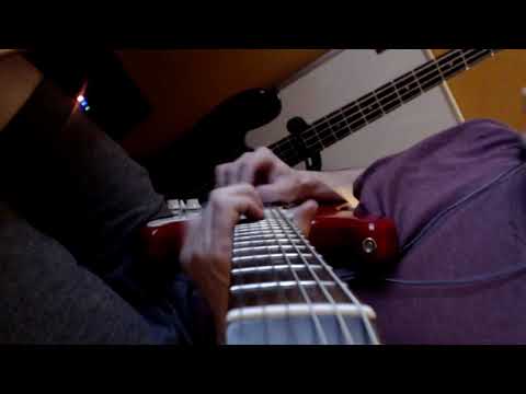 It's Okay to Leave a Dog in a Hot Car COVER It's Okay to Leave a Dog in a Hot Car COVER