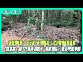 天氣對罷免投票的影響