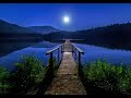 🏞️ Binaural Night Swamp Sounds | Cicadas, Frogs & Crickets | 4 Hours | Outdoor Ambience