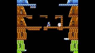 NES Longplay [250] Ice Climber