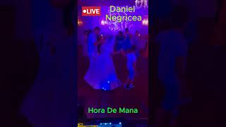 Daniel Negricea [Domn' Profesor Danciu] Hora de mana    #muzicadepetrecere  #live #muzicapopulara
