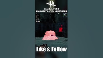 Highlights of my Xenomorph in Dead by Daylight #dbd #gaming #videogame #alien