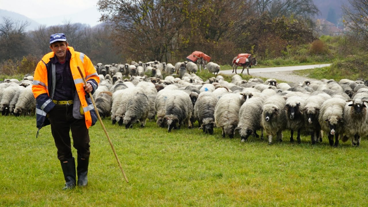 DOŠLO  VRIJEME  DA  SE  KRENE