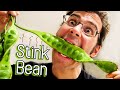 Stink beans  all about this smelly fruit raw cooked  fermented petai