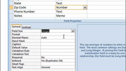 Use the Number Data Type in Access 2007