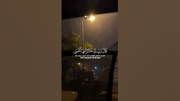 🎀 ما تيسر من سورة طه || القارئ أحمد سعيد 🎀🇵🇸🇵🇸🇵🇸