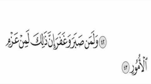 القران الكريم الجزء الخامس والعشرون   الجزء 25 (بدون اعلانات)