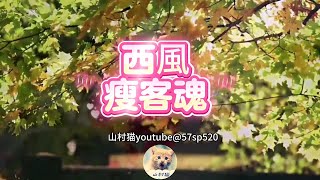 這首作品巧妙融合古典與現代情感,以時空交錯的敘事方式,將歷史興亡與個人情思編織成動人的情感長卷。